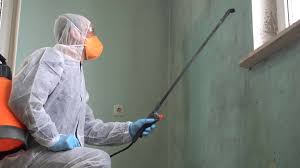 Mold Odor Removal Services in Uhrichsville, OH