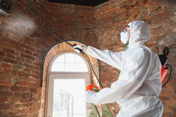 Why You Should Choose Our Mold Remediation Services in Uhrichsville, OH