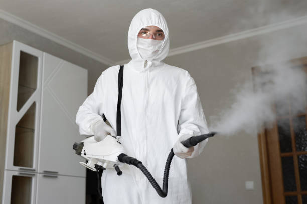 Best Asbestos and Lead Testing During Mold Inspection  in Uhrichsville, OH